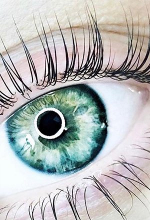 דף נחיתה ויקטוריה ריס - עין - תמונה להרמת ריסים